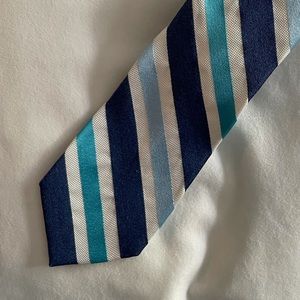 Express Men Blue Striped Tie